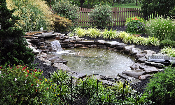 Water Features - Ponds